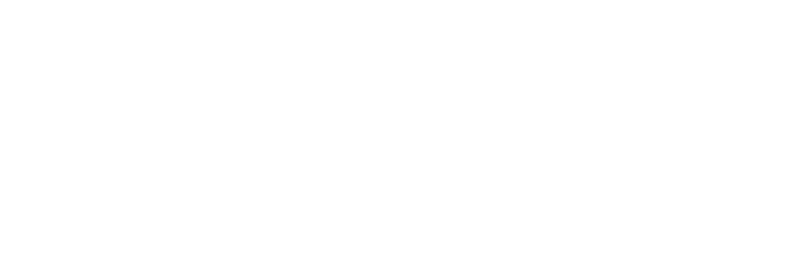 Wordmark, white